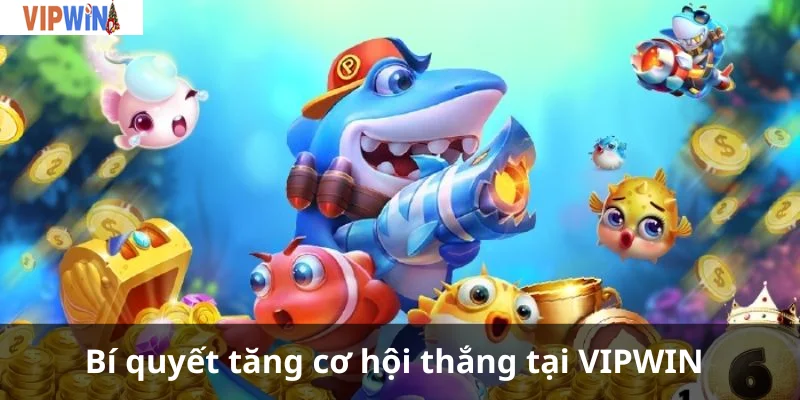 Bí quyết tăng cơ hội thắng tại VIPWIN