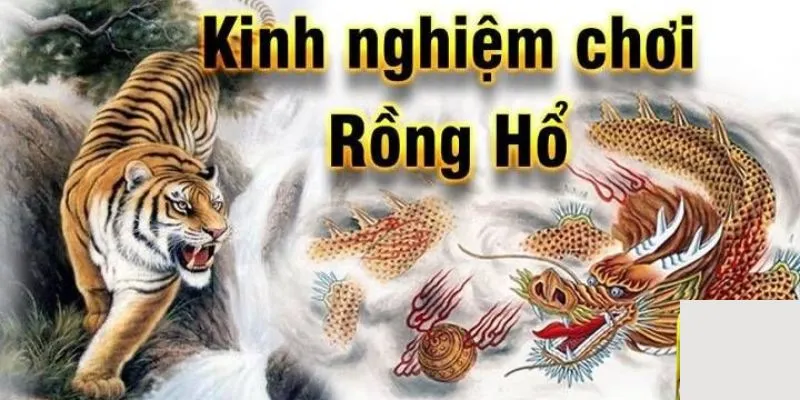 Cách chơi rồng hổ giành thưởng lớn từ cao thủ tại VIPWIN